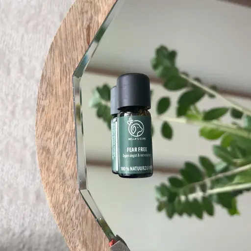 [4DC0730003] De Groene Linde : Bella's Cure - Fear Free