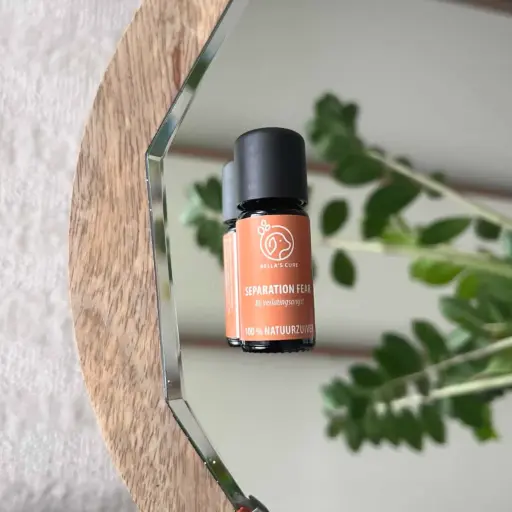 [4DC0730007] De Groene Linde : Bella's Cure - Separation Fear