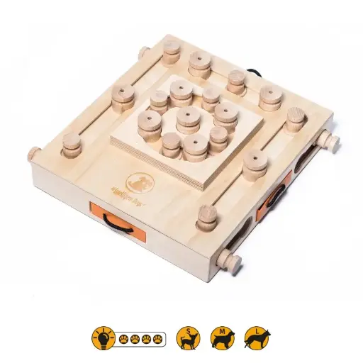 [4DC0400019] My Intelligent Dogs : Turtle