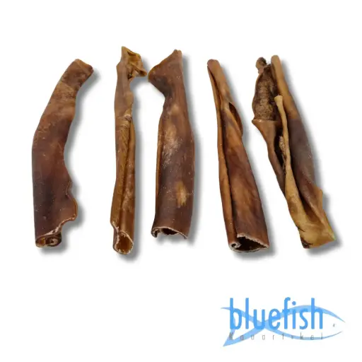 [4DC0110092] Bluefish : Paardenkophuid - 30 cm (Pferdekopfhaut)