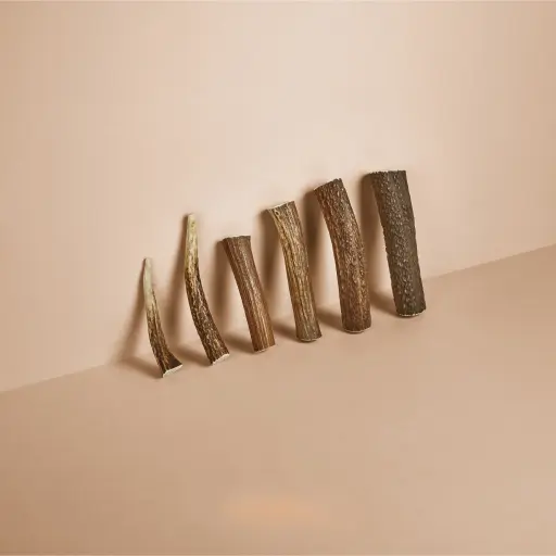 [4DC0120008] Happy Tails : Hertengewei - XL