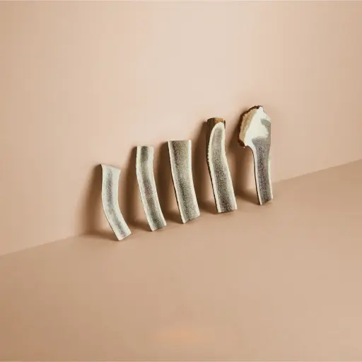 [4DC0120010] Happy Tails : Hertengewei Gehalveerd - L