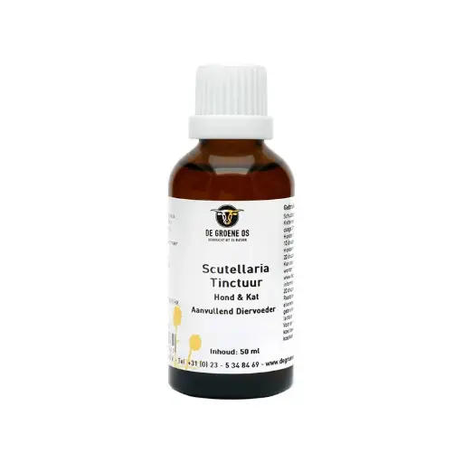 De Groene Os : Scutellaria Tinctuur 
