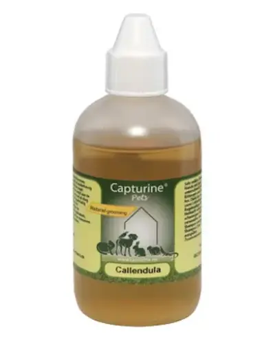 [4DC0170007] Capturine : Callendula Shampoo 