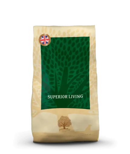 [4DC0190012] Essential Foods : Superior - 10 kg