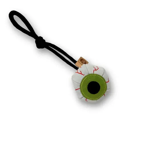 [4DC0220022] Green & Wilds : Eye-m Watching you, Eco Dog Toy 
