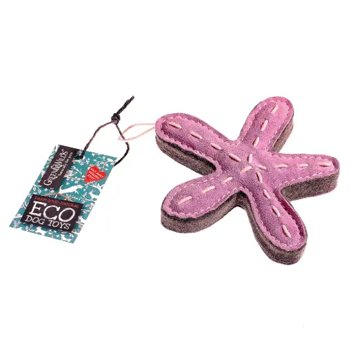 [4DC0220056] Green & Wilds : Stanley the Starfish, Eco Dog Toy