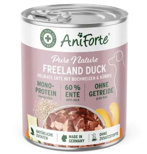 [4DC0040002] Aniforte : Freeland Duck