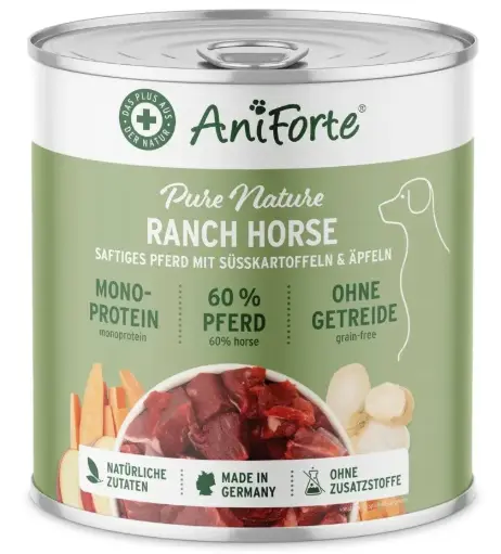 [4DC0040005] Aniforte : Ranch Horse